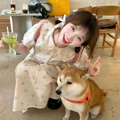 钝感之爱